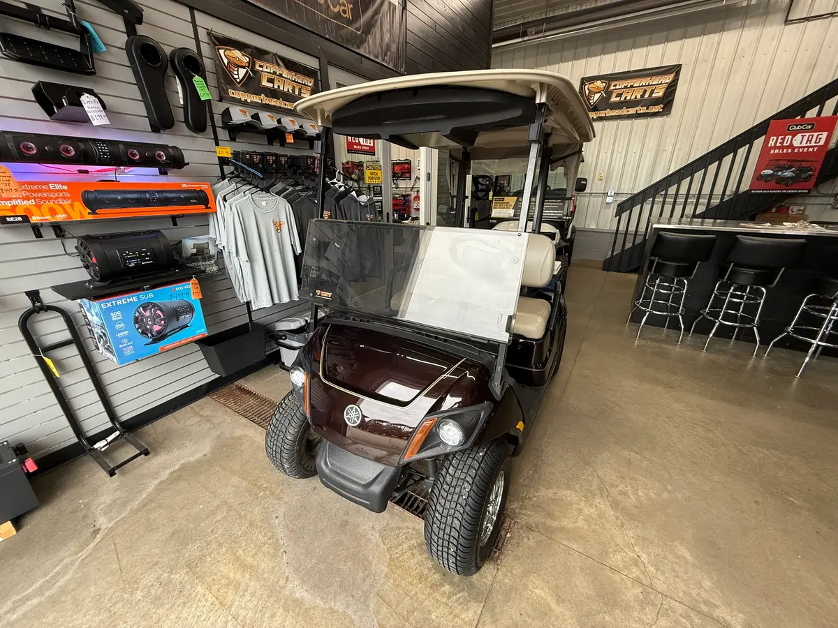 2018 Yamaha Drive2 QuieTech EFI photo 1