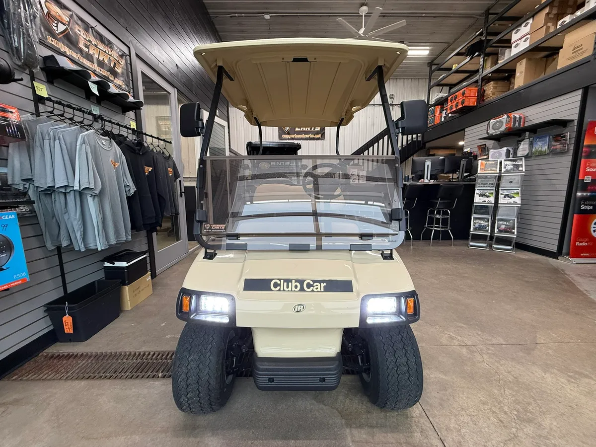2002 Club Car DS Gas thumb 3