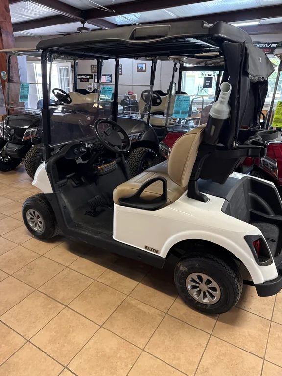 2020 E-Z-GO RXV thumb 3