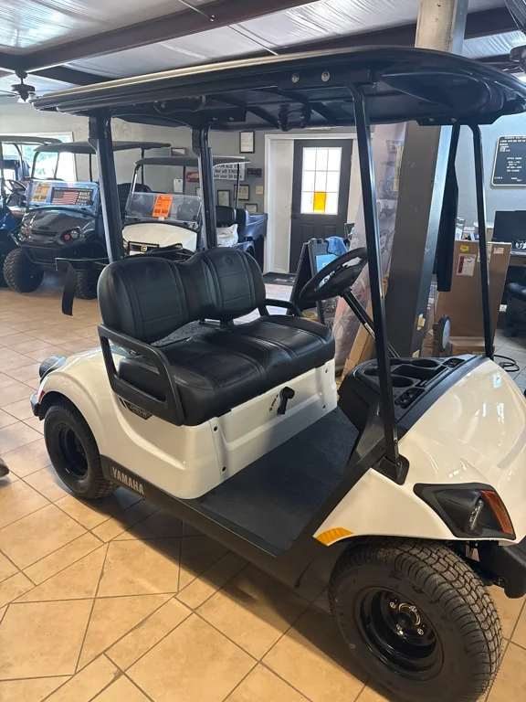 2026 Yamaha DR2AB1WPPT thumb 2