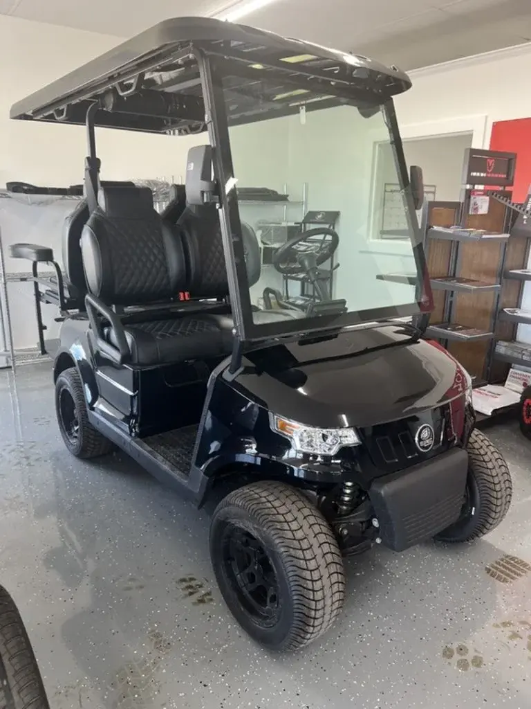 2024 Epic Carts E40 photo 1