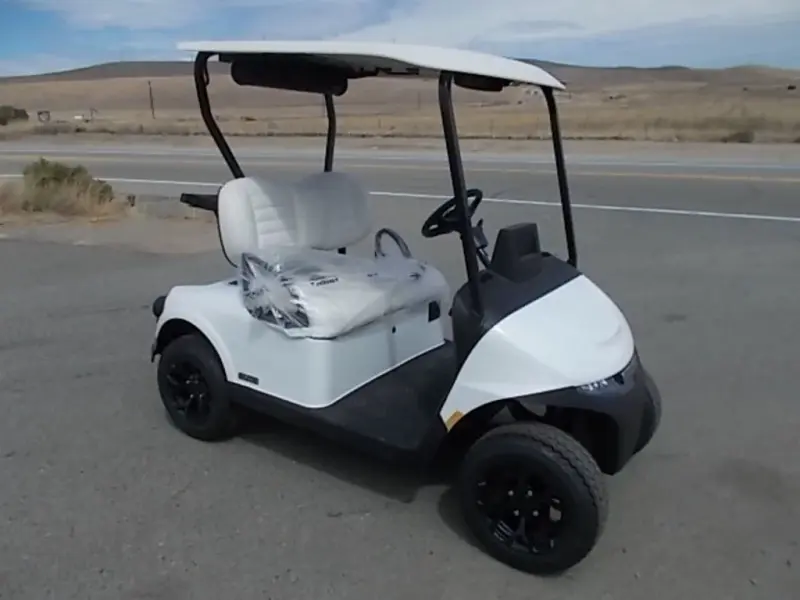 2027 E-Z-GO Freedom ELiTE Lithium photo 1
