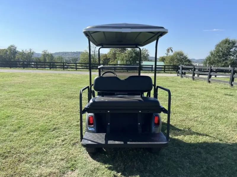 2021 E-Z-GO RXV thumb 4