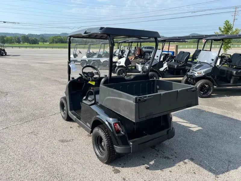 2021 E-Z-GO RXV thumb 3