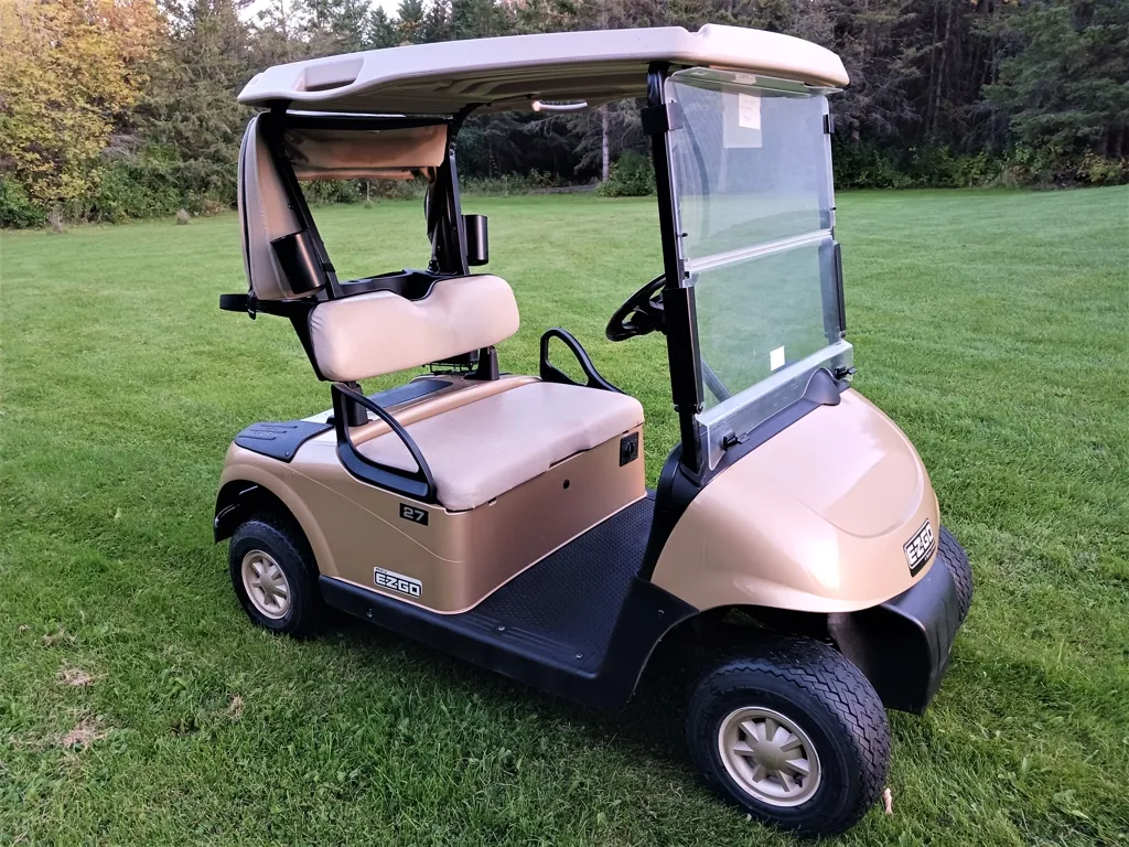 2014 E-Z-GO RXV thumb 3
