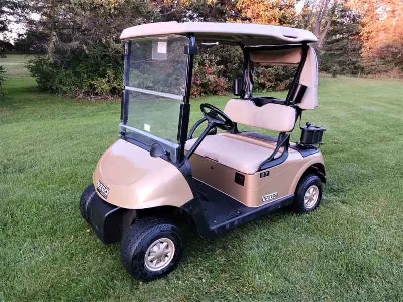 2014 E-Z-GO RXV thumb 1