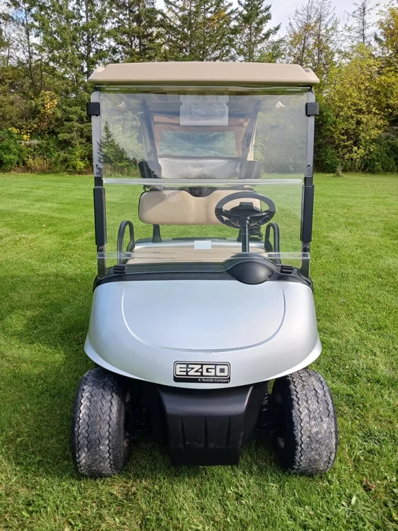 2014 E-Z-GO RXV thumb 2