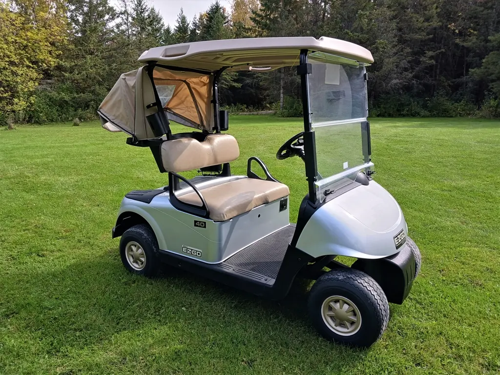 2014 E-Z-GO RXV thumb 3