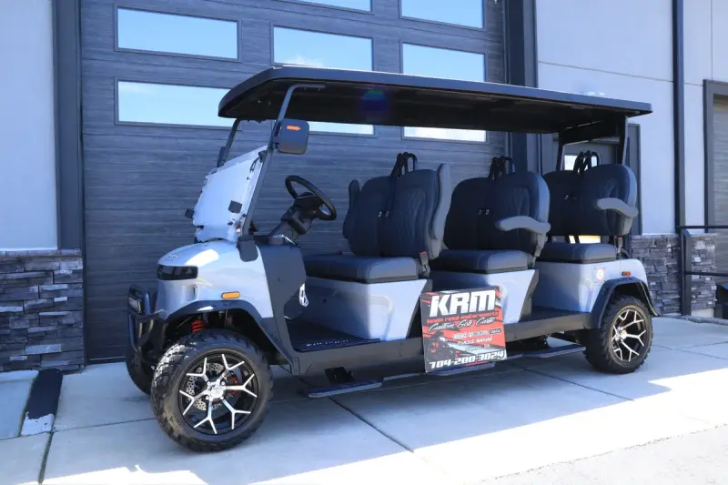 2026 Denago Rover XXL Gray photo 1