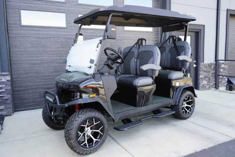 2026 Denago Rover XL Black photo 1