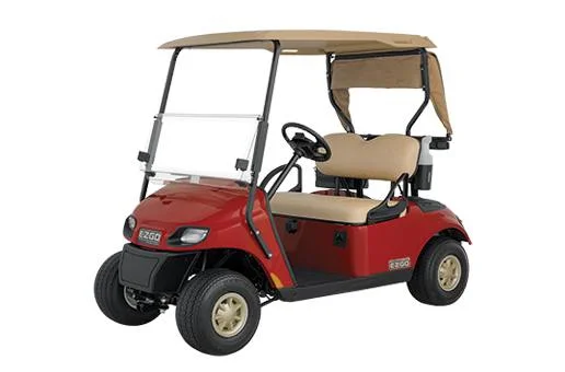 2014 E-Z-GO Freedom thumb 2