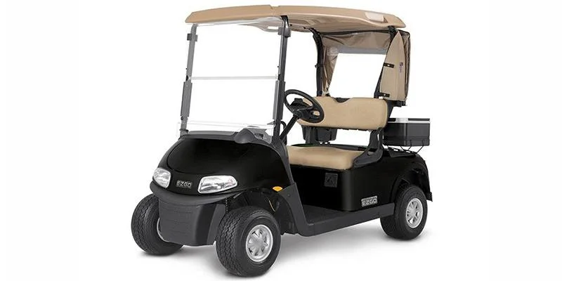 2021 E-Z-GO Freedom ELiTE Lithium thumb 2