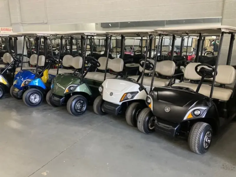 2019 Yamaha Drive2 photo 1