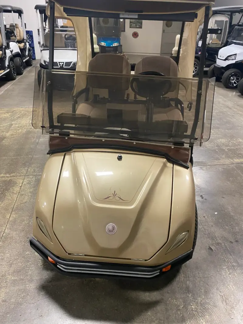 2009 Yamaha YDR CART thumb 3