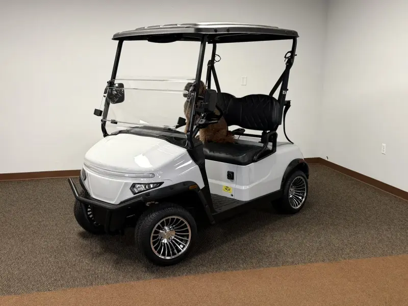 2026 Denago Nomad XL 2 Passenger photo 1