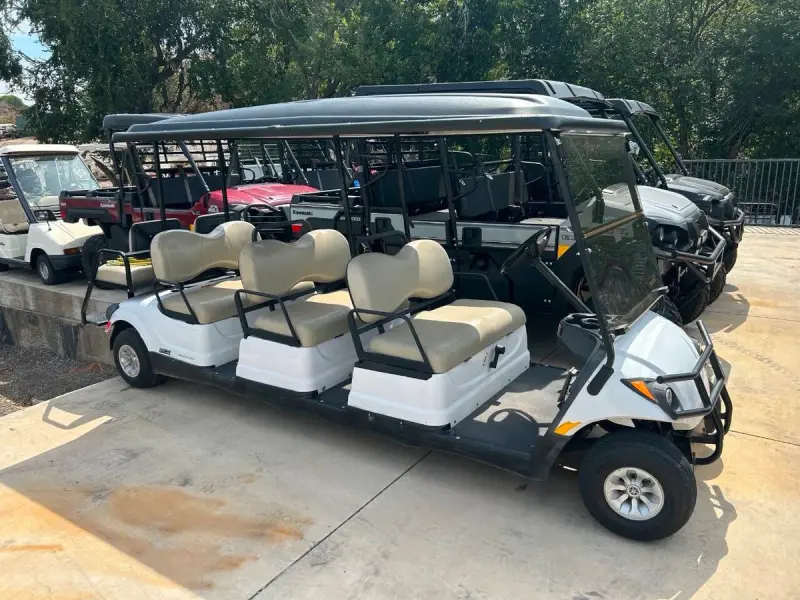 2014 Yamaha 8 Passenger Gas thumb 2
