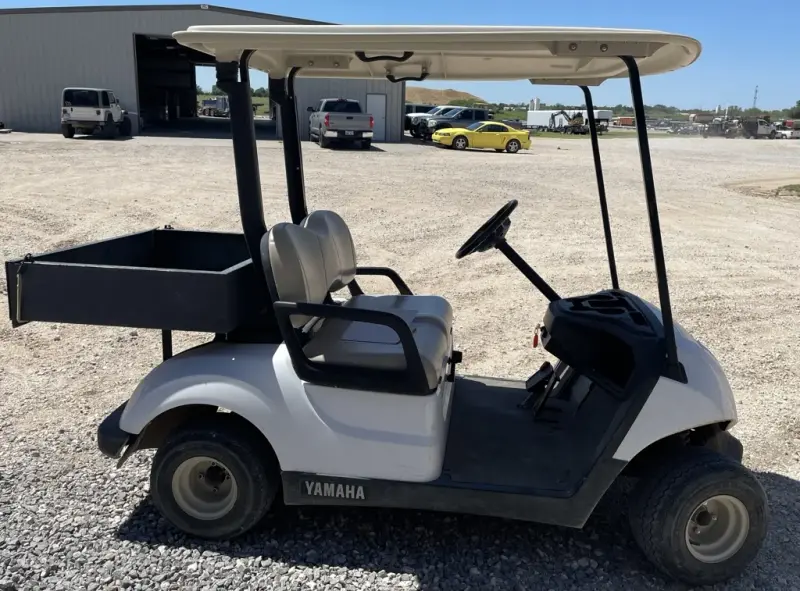 2019 Yamaha Drive2