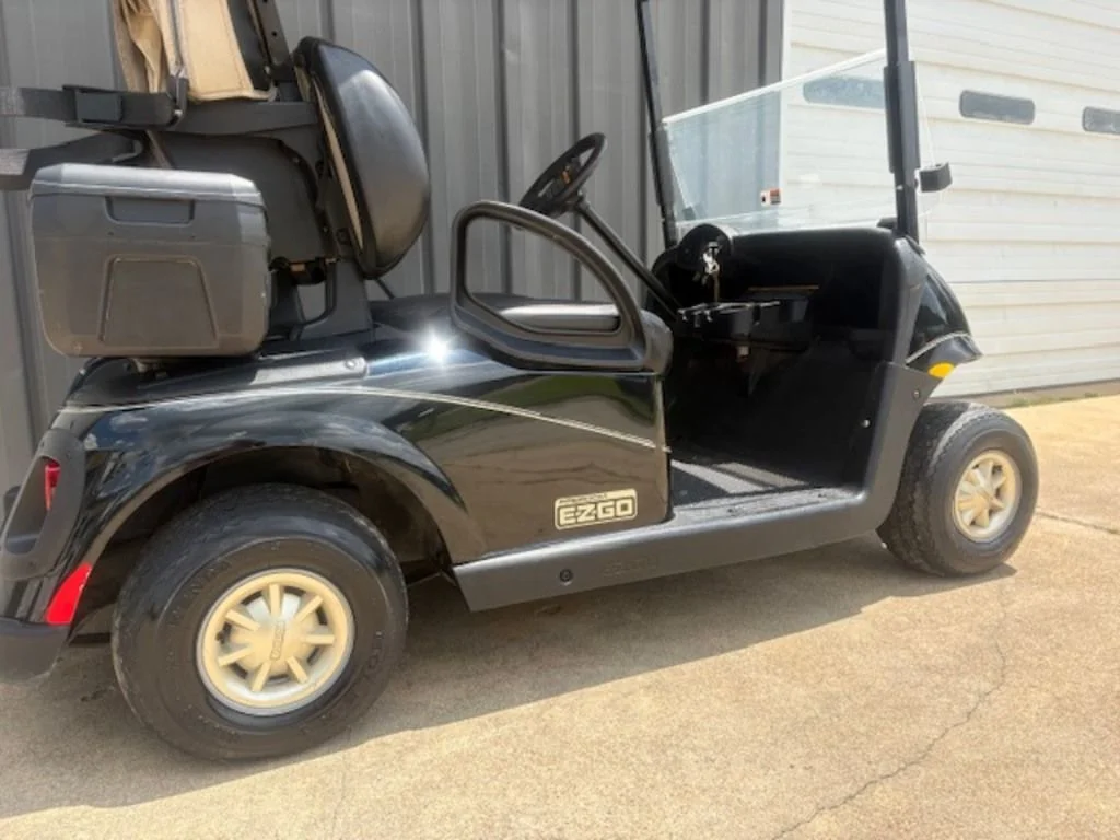 2009 E-Z-GO Freedom thumb 2