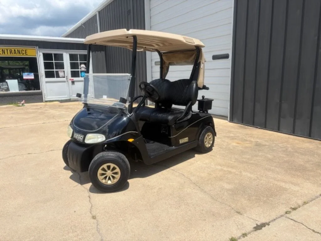 2009 E-Z-GO Freedom thumb 3