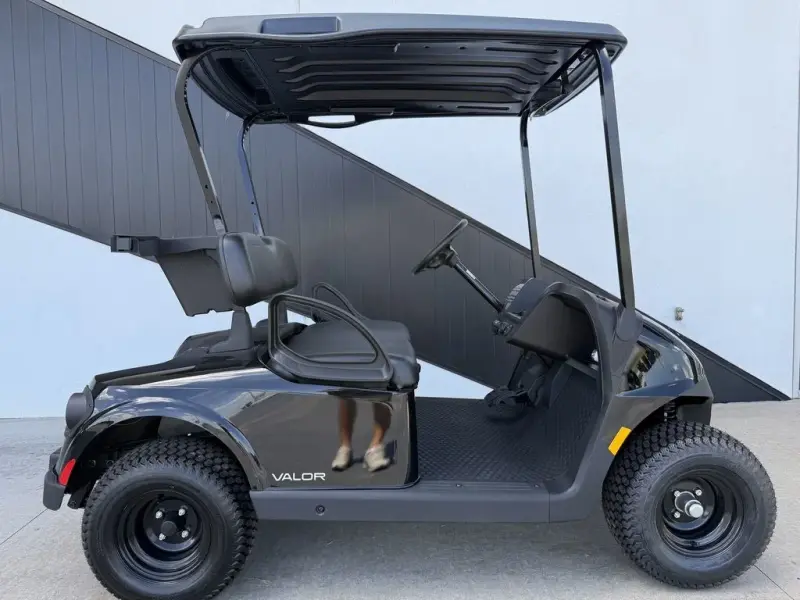 2025 E-Z-GO Valor thumb 2