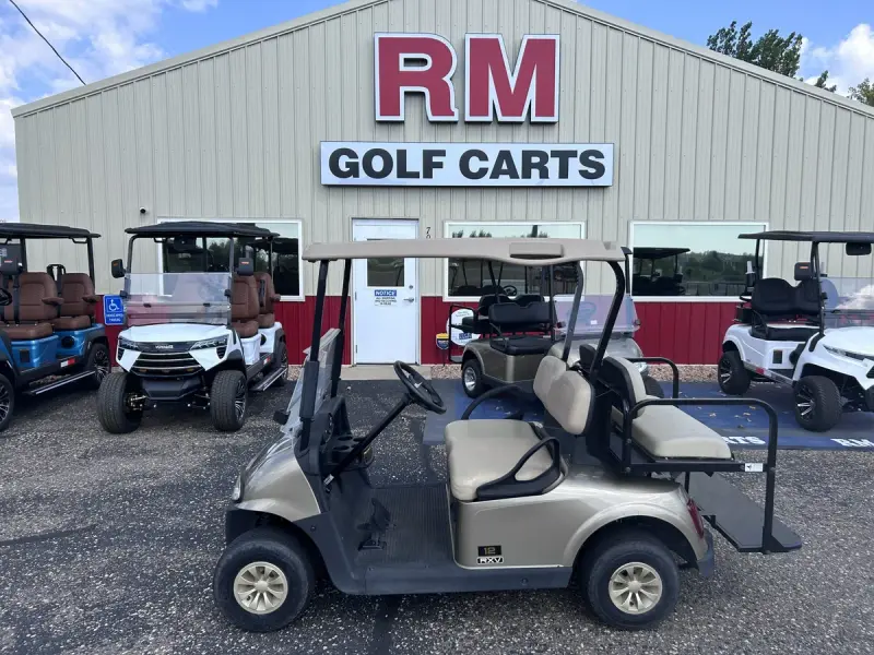 2019 E-Z-GO RXV photo 1
