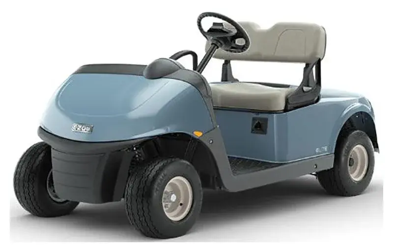2022 E-Z-GO RXV thumb 2