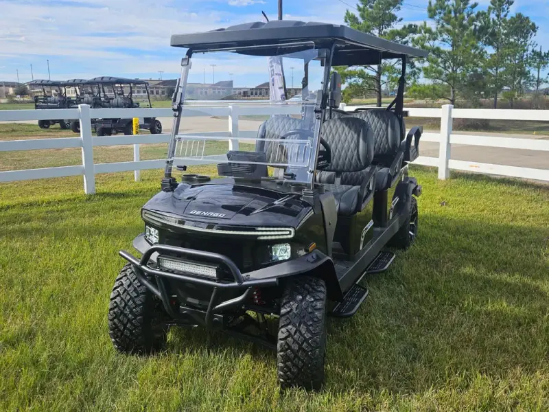 2025 Denago Rover XL 6 photo 1