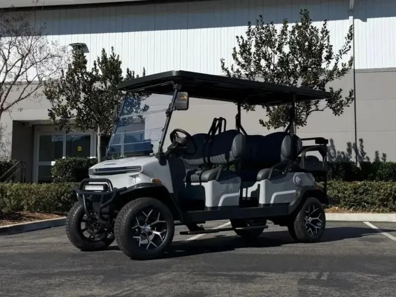 2026 Denago Rover XL 6 photo 1