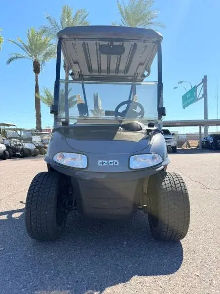 2016 E-Z-GO RXV photo 1