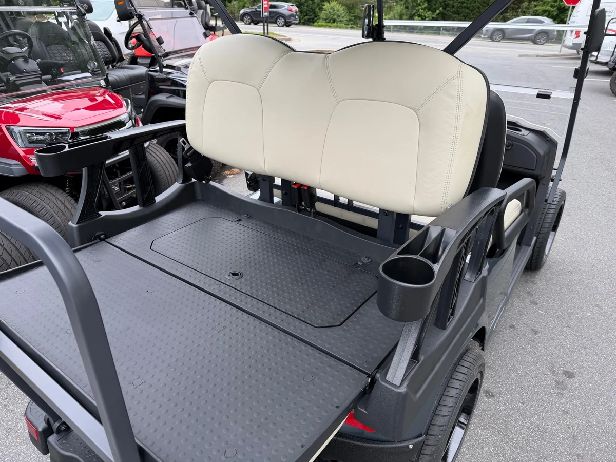 2026 Star EV J-Model 2+2 Non-Lifted 2+2 Non-Lifted 0% FINANCING FREE DELIVERY thumb 4