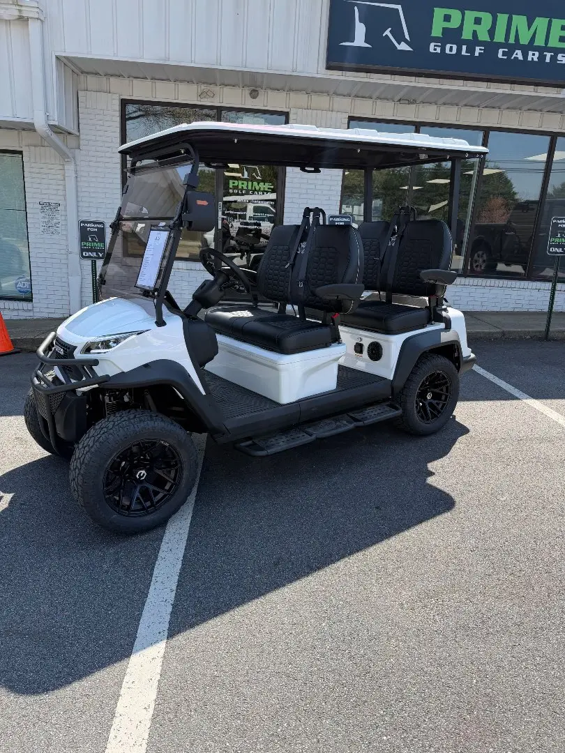2026 Venom EV Stealth 0% Financing, FREE DELIVERY thumb 3