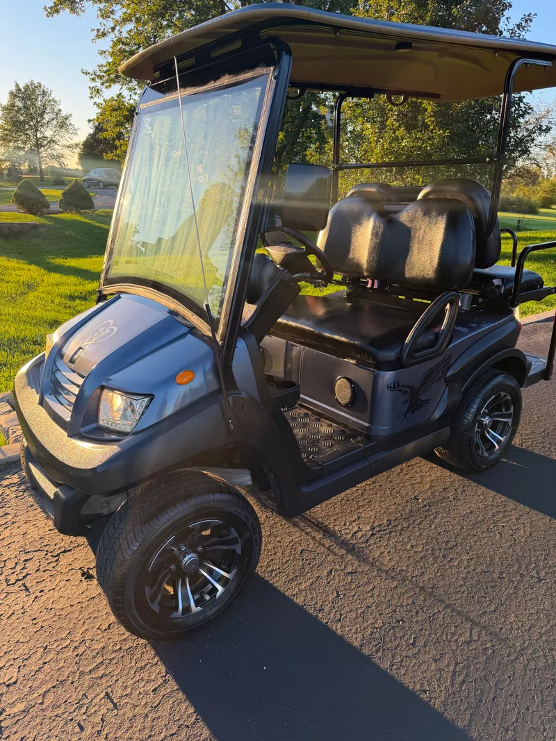 2021 Advanced EV EV1 4 Passenger photo 1