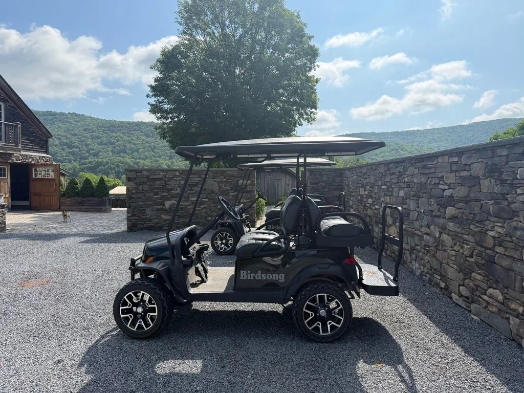2020 Club Car Onward photo 3