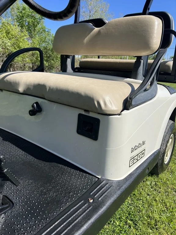 2015 E-Z-GO RXV photo 8