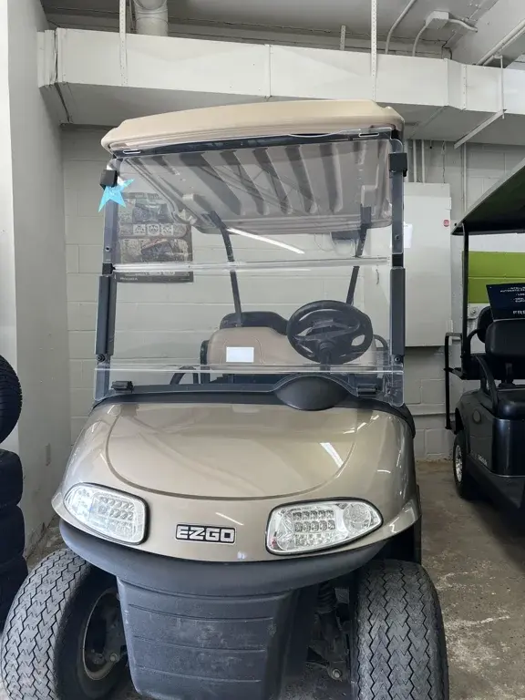 2019 E-Z-GO RXV photo 6