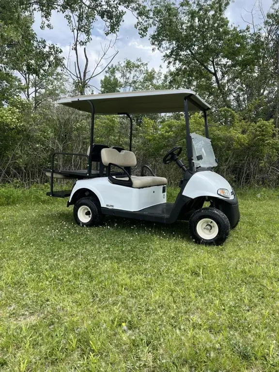 2020 E-Z-GO RXV photo 1