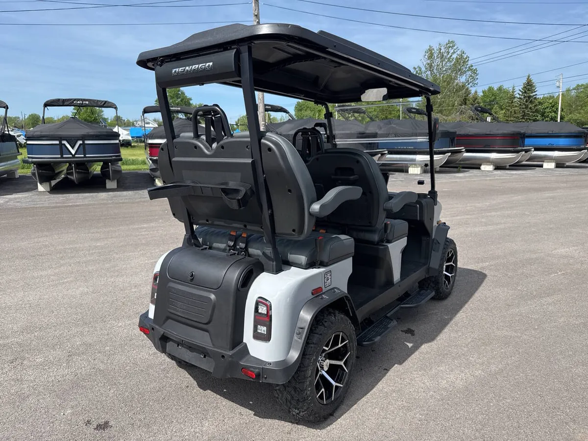 2026 Denago Rover XL 4 photo 4