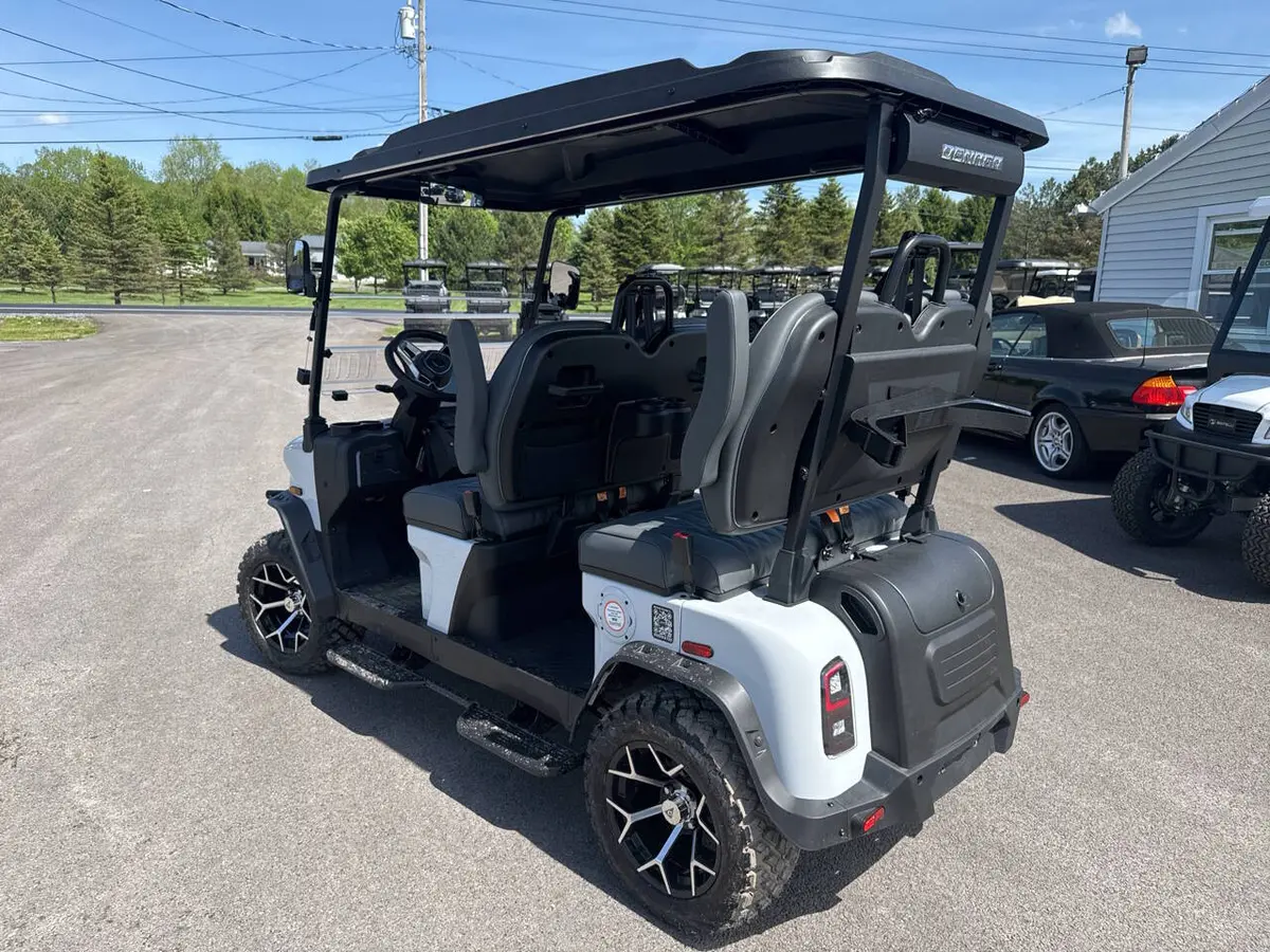 2026 Denago Rover XL 4 photo 3