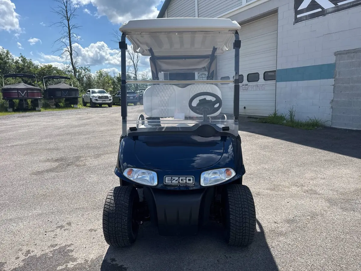 2009 E-Z-GO Freedom RXV photo 2