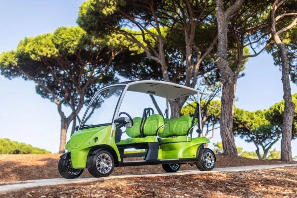 2026 Garia VIA 4-Seater photo 8