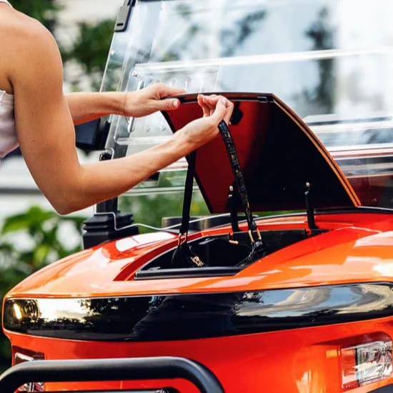 2026 Denago Rover XL photo 4