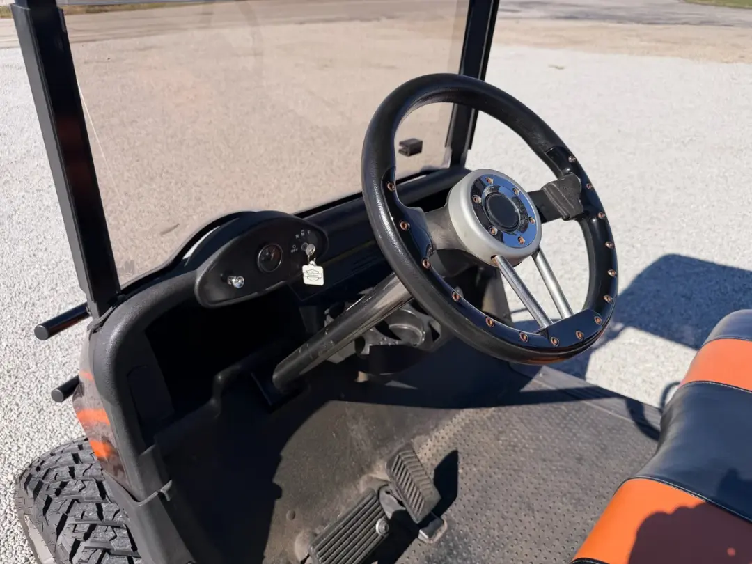 2010 E-Z-GO RXV photo 10