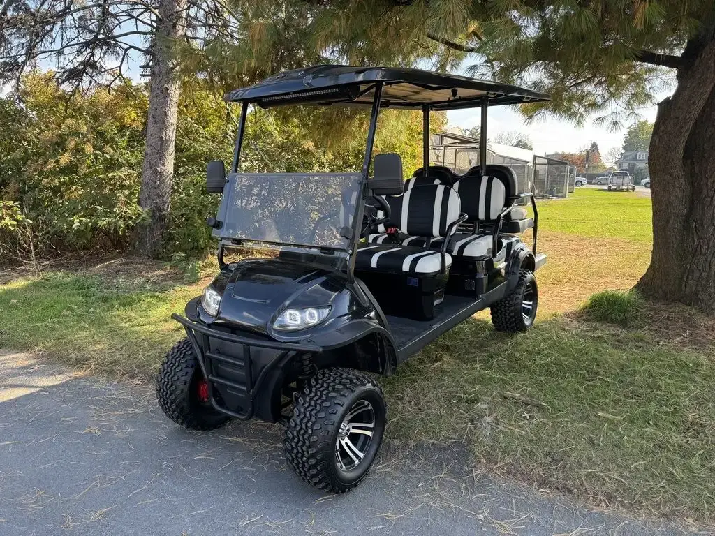 2020 ICON I60 photo 1