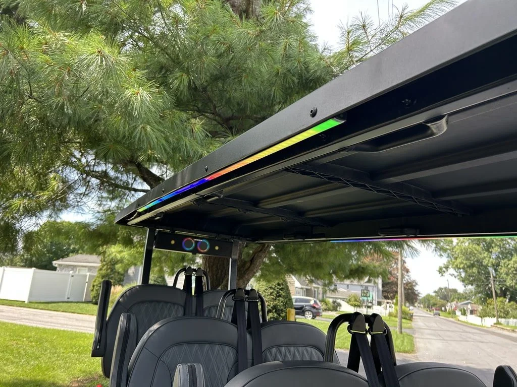 2026 Denago Rover XXL photo 15