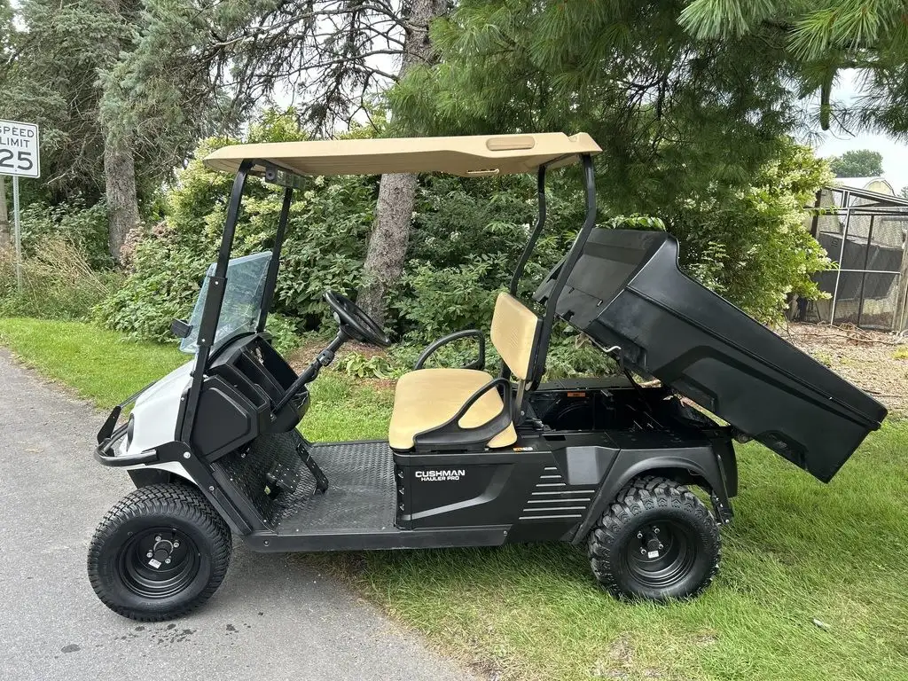 2020 Cushman Hauler PRO photo 5