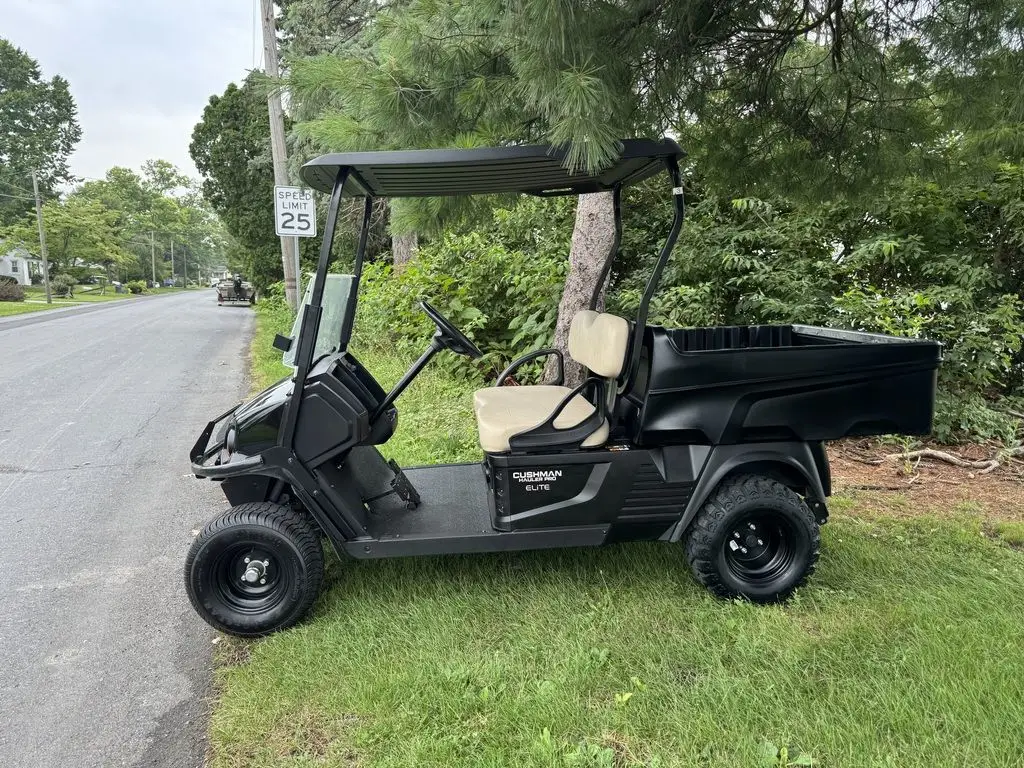 2024 Cushman Hauler PRO photo 4