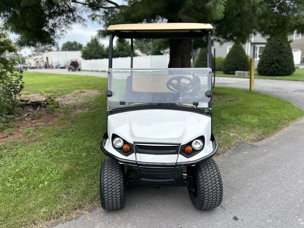 2020 Cushman Hauler PRO photo 3