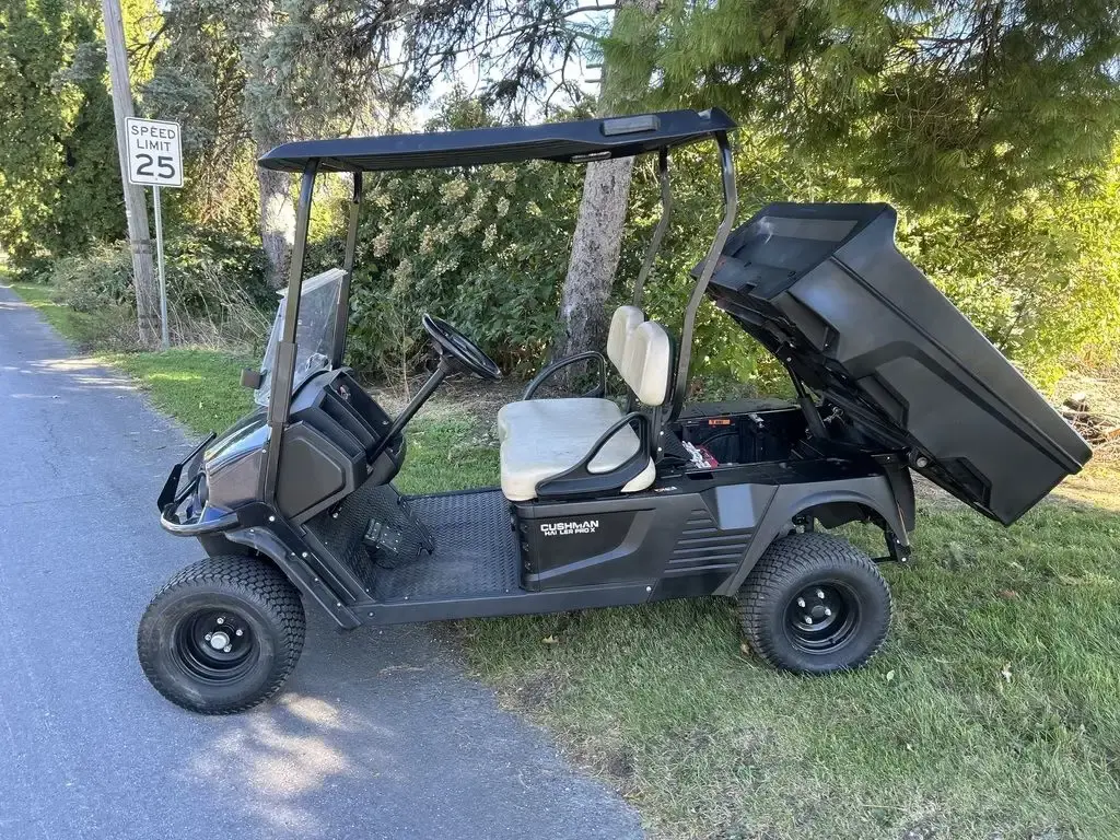 2020 Cushman Hauler PRO-X photo 6