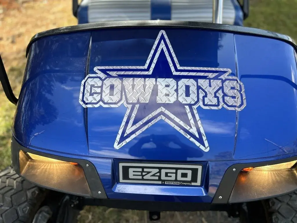 2010 E-Z-GO TXT photo 8