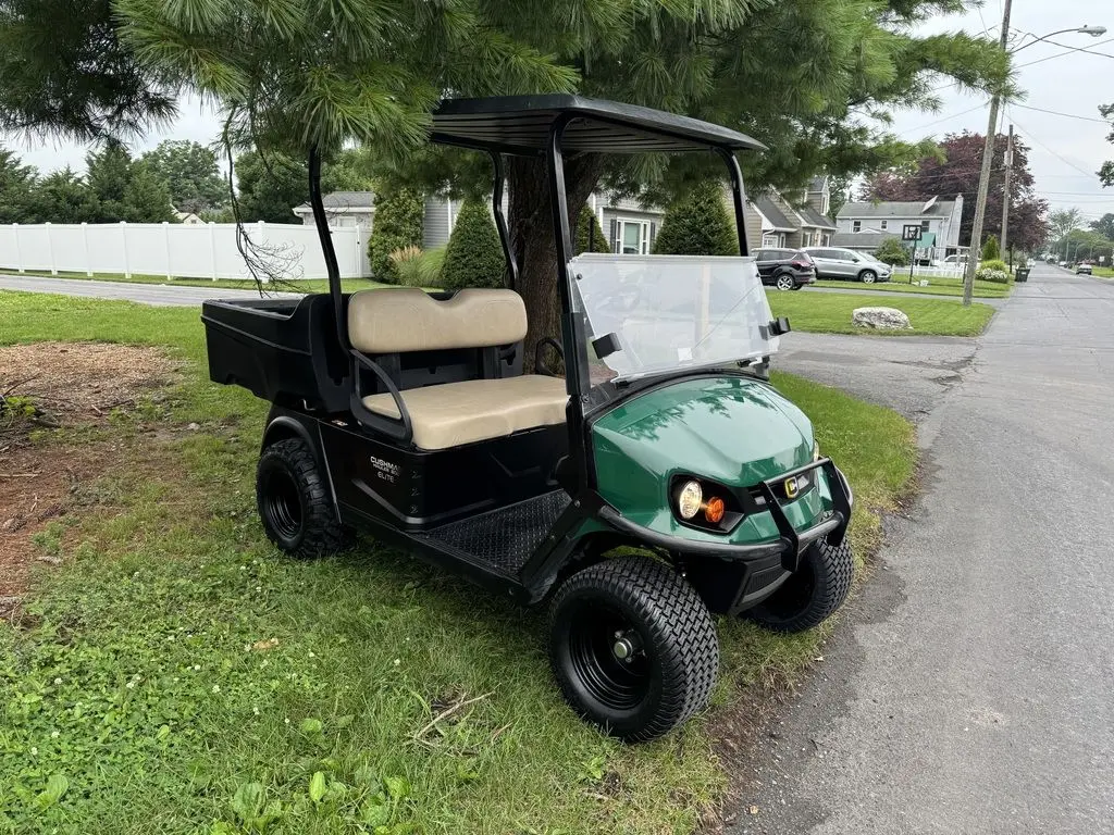 2022 Cushman Hauler 800 photo 3